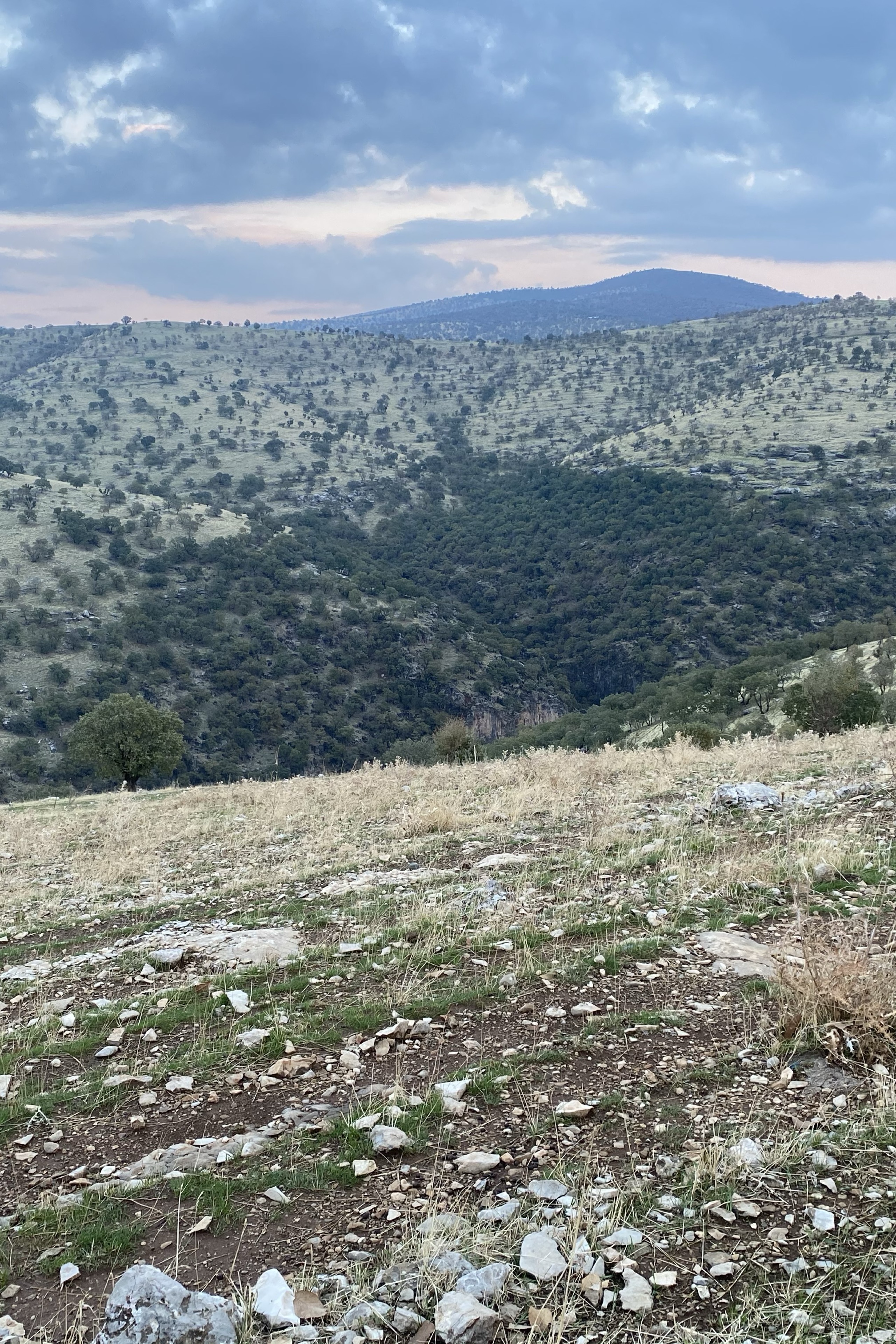 Sabri Barzani — photo 4 on Lushme