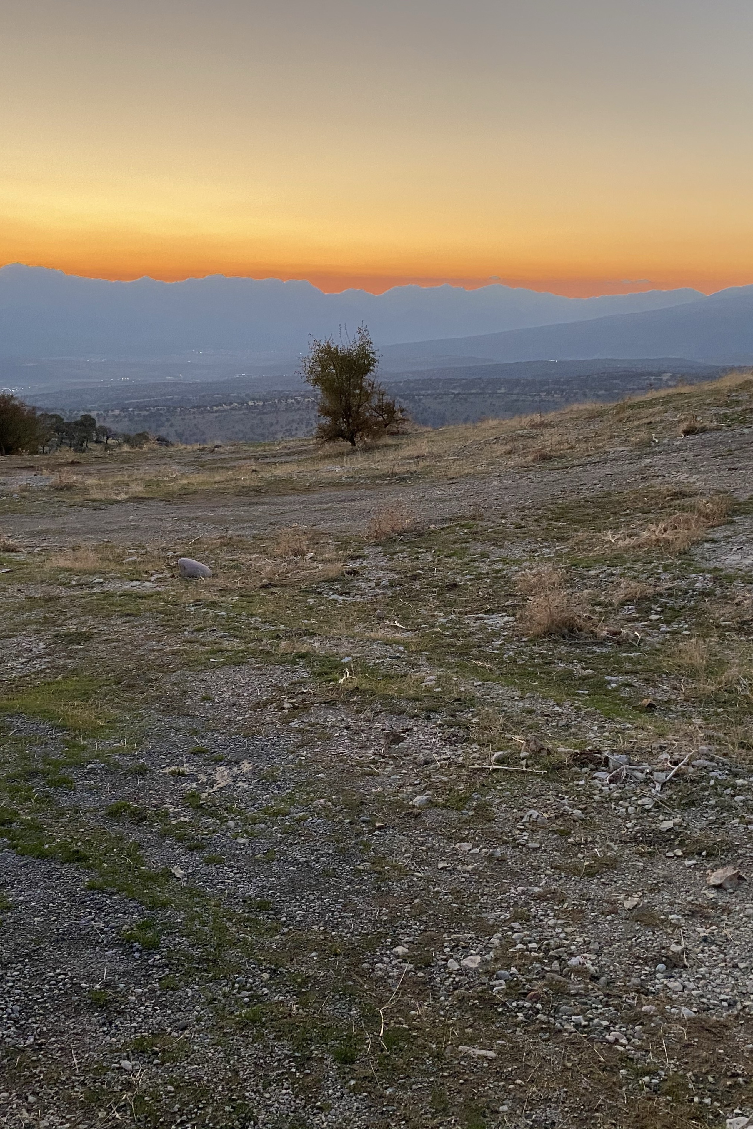 Sabri Barzani — photo 5 on Lushme