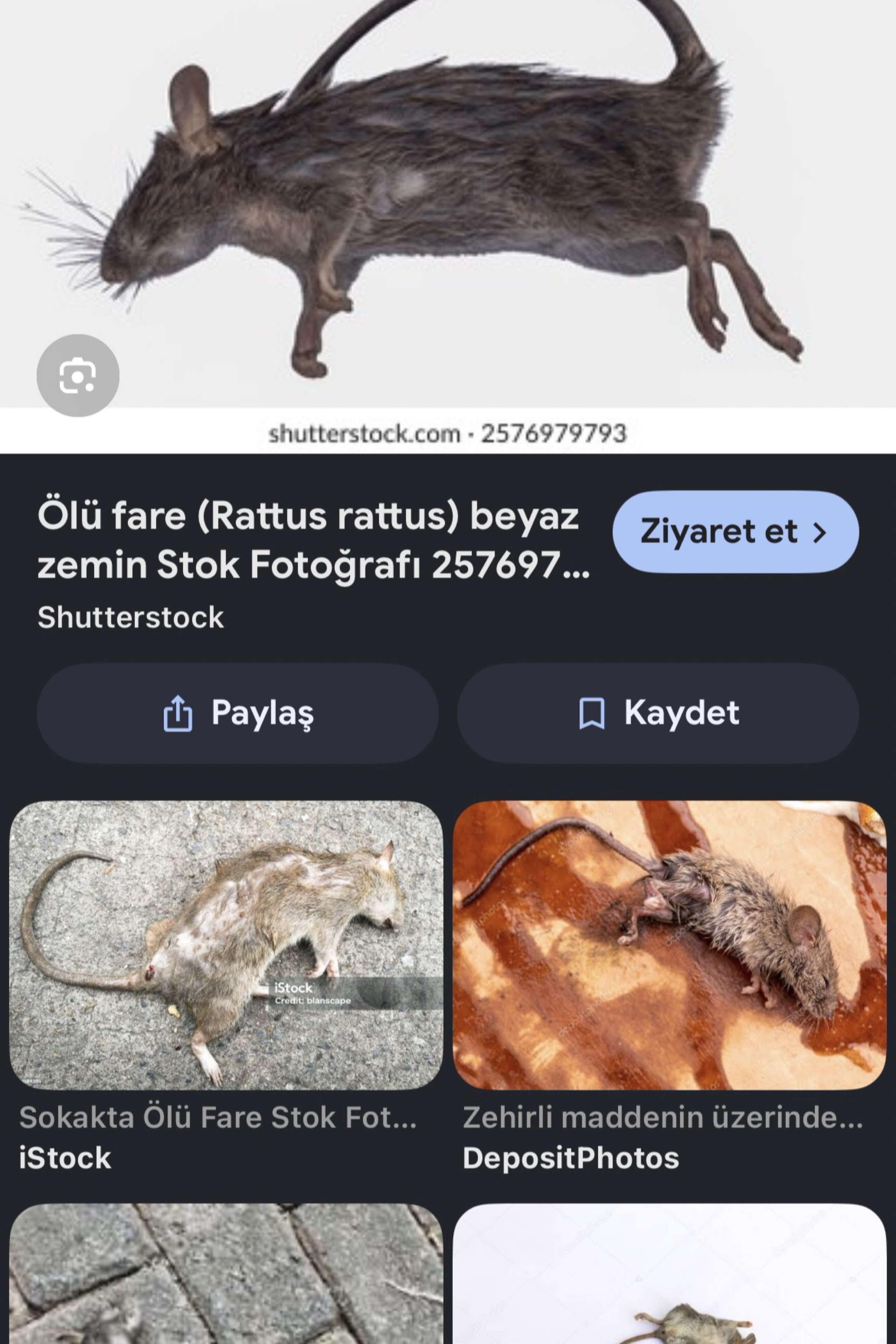 Rafet poyraz Can — photo 5 on Lushme