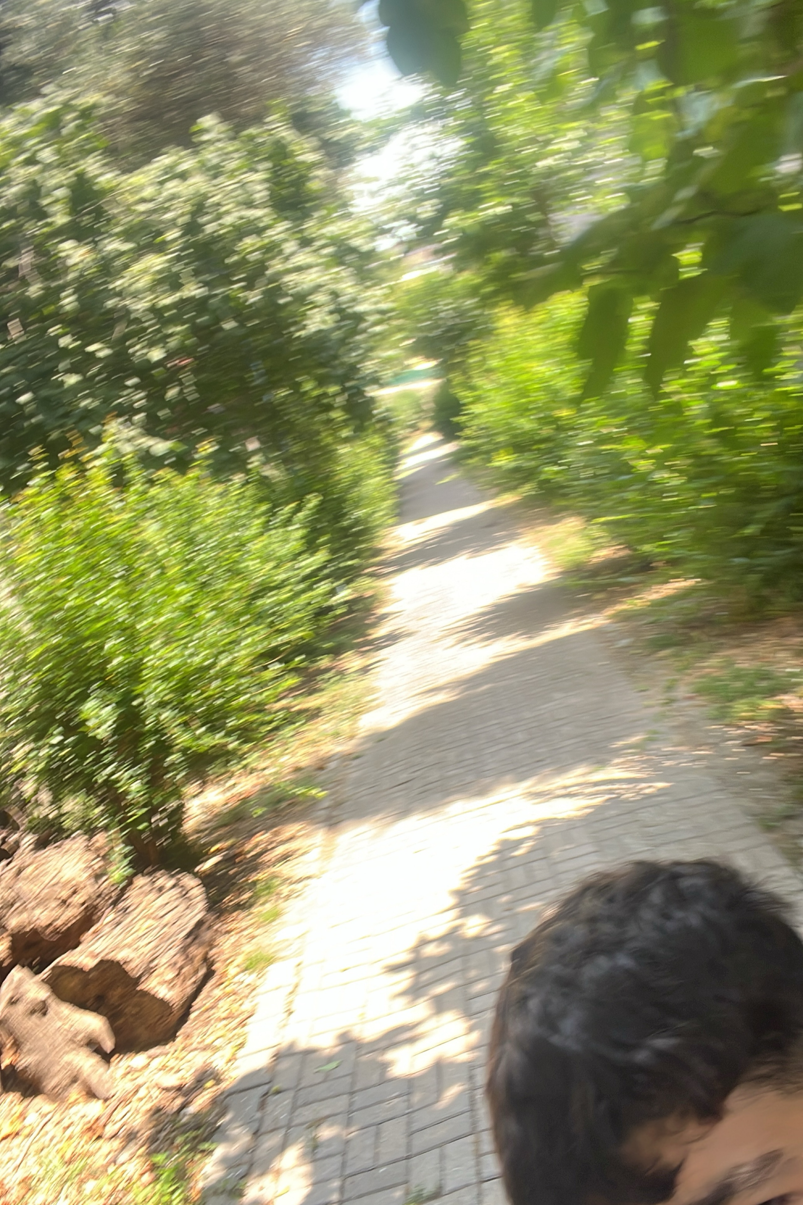 Rafet poyraz Can — photo 6 on Lushme