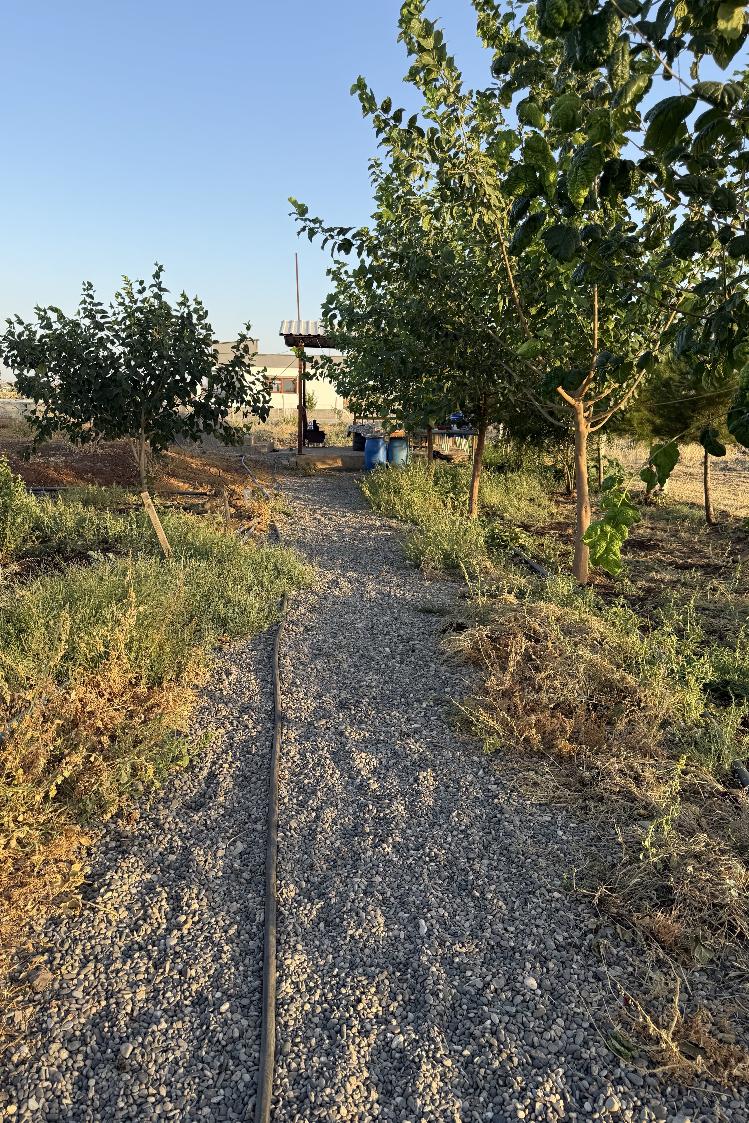 Zv6C46Zh5T — photo 3 on Lushme
