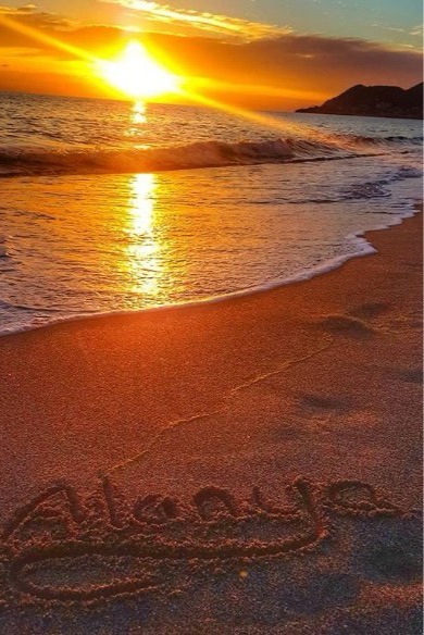Paşa — photo 6 on Lushme
