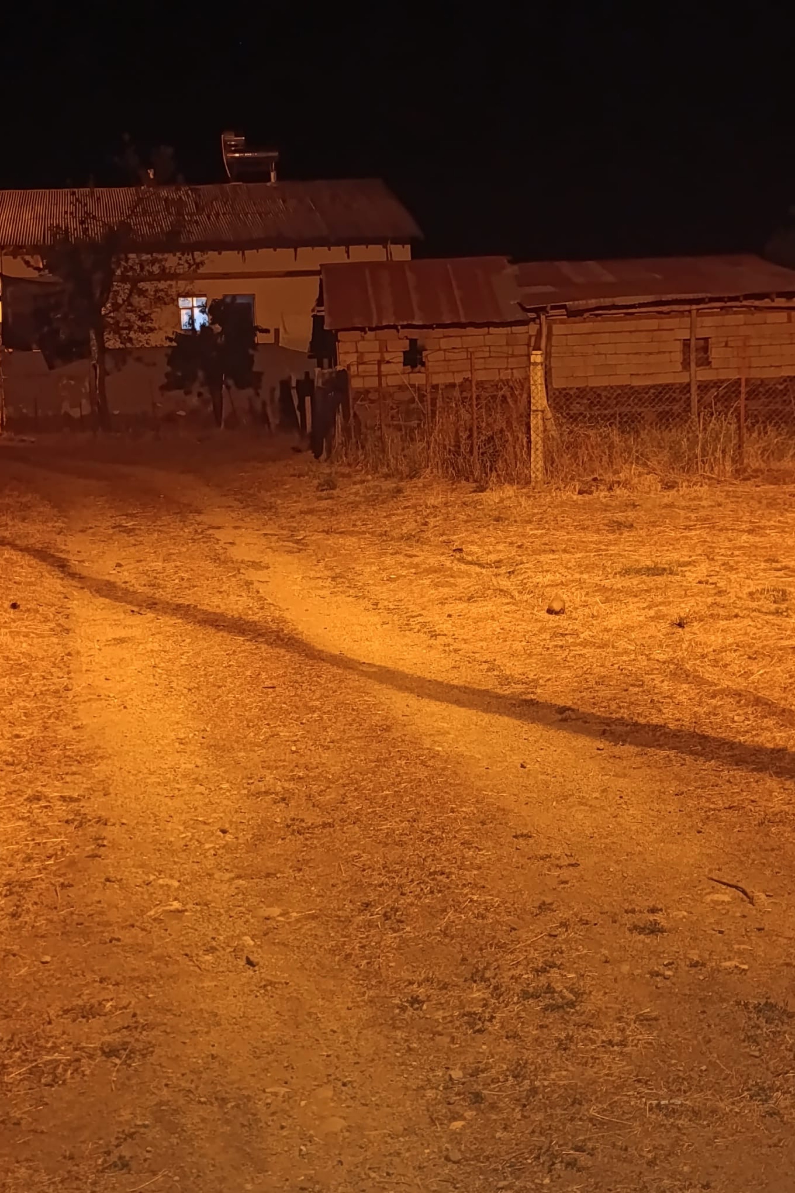 Husamettin Adanur — photo 3 on Lushme