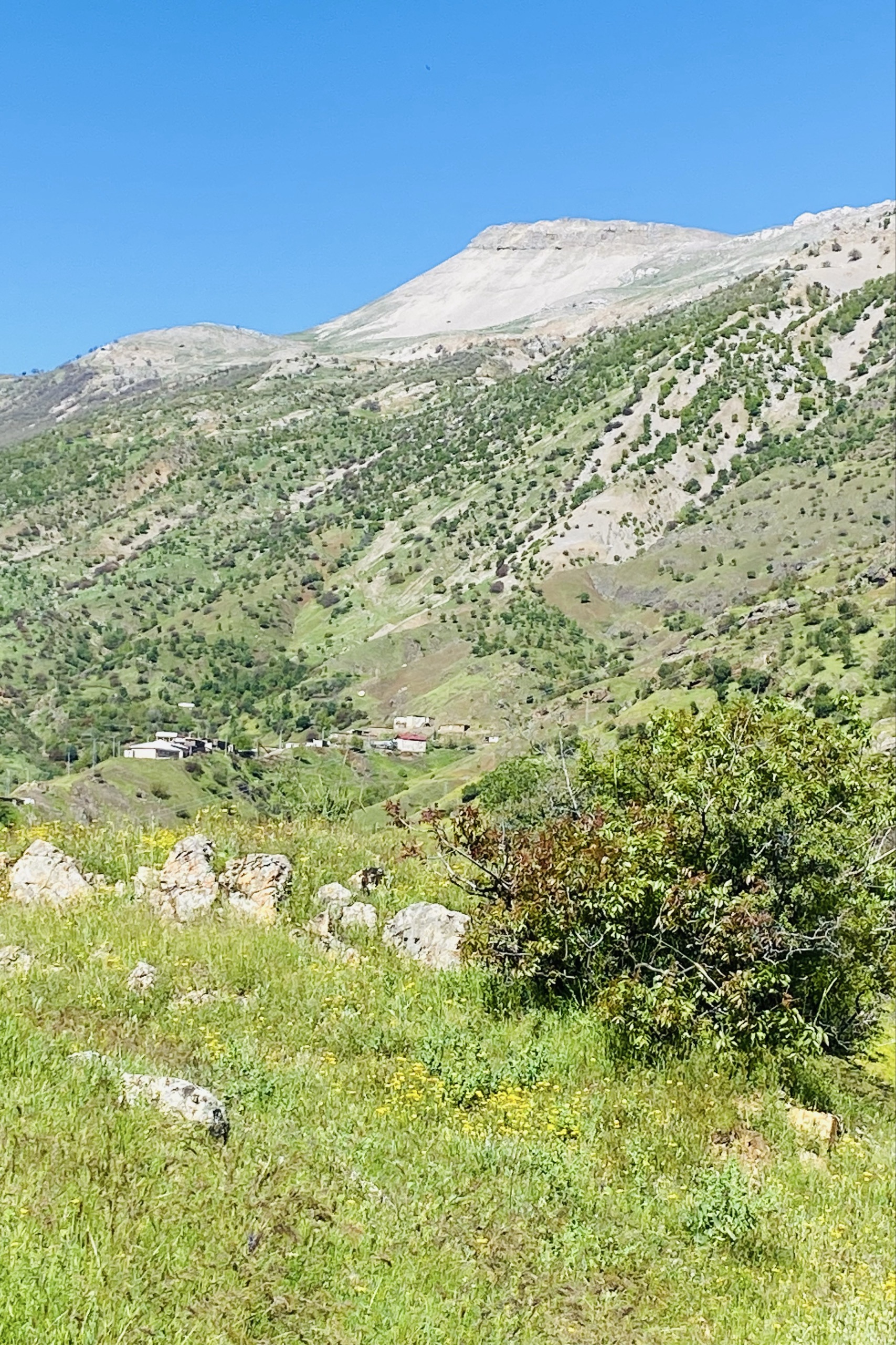 Mehmet Taşkın — photo 2 on Lushme