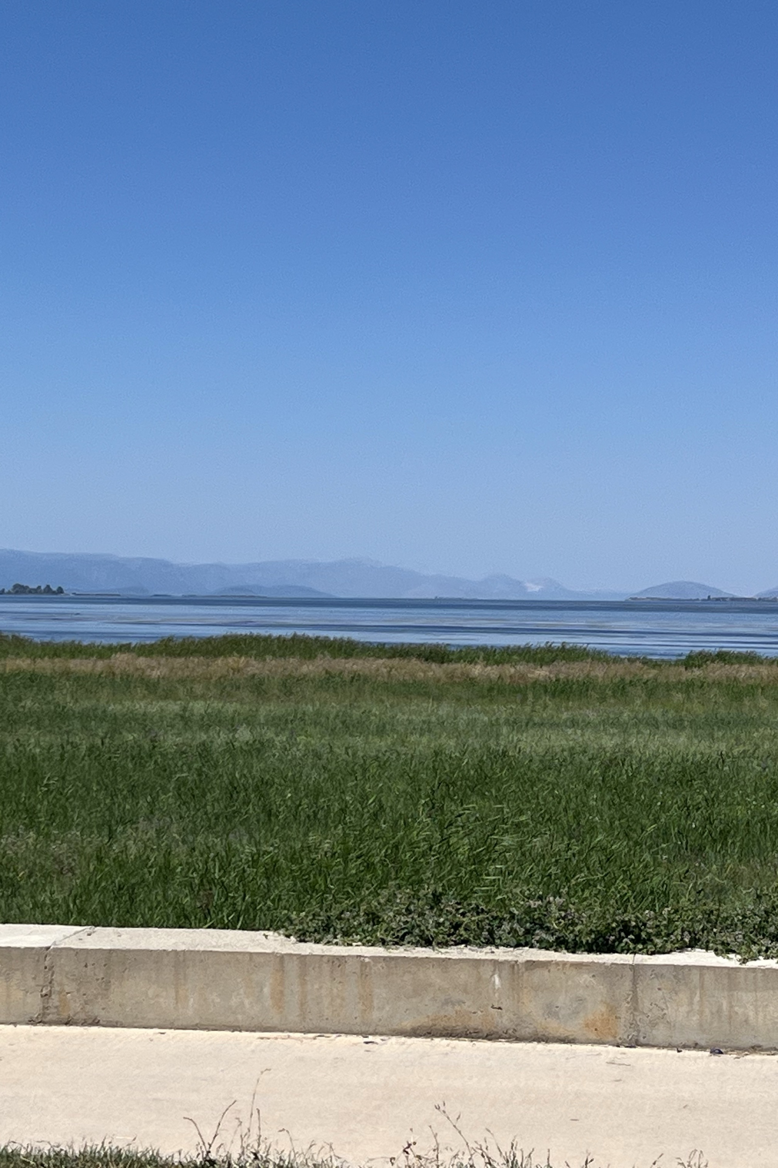 Kaan — photo 6 on Lushme